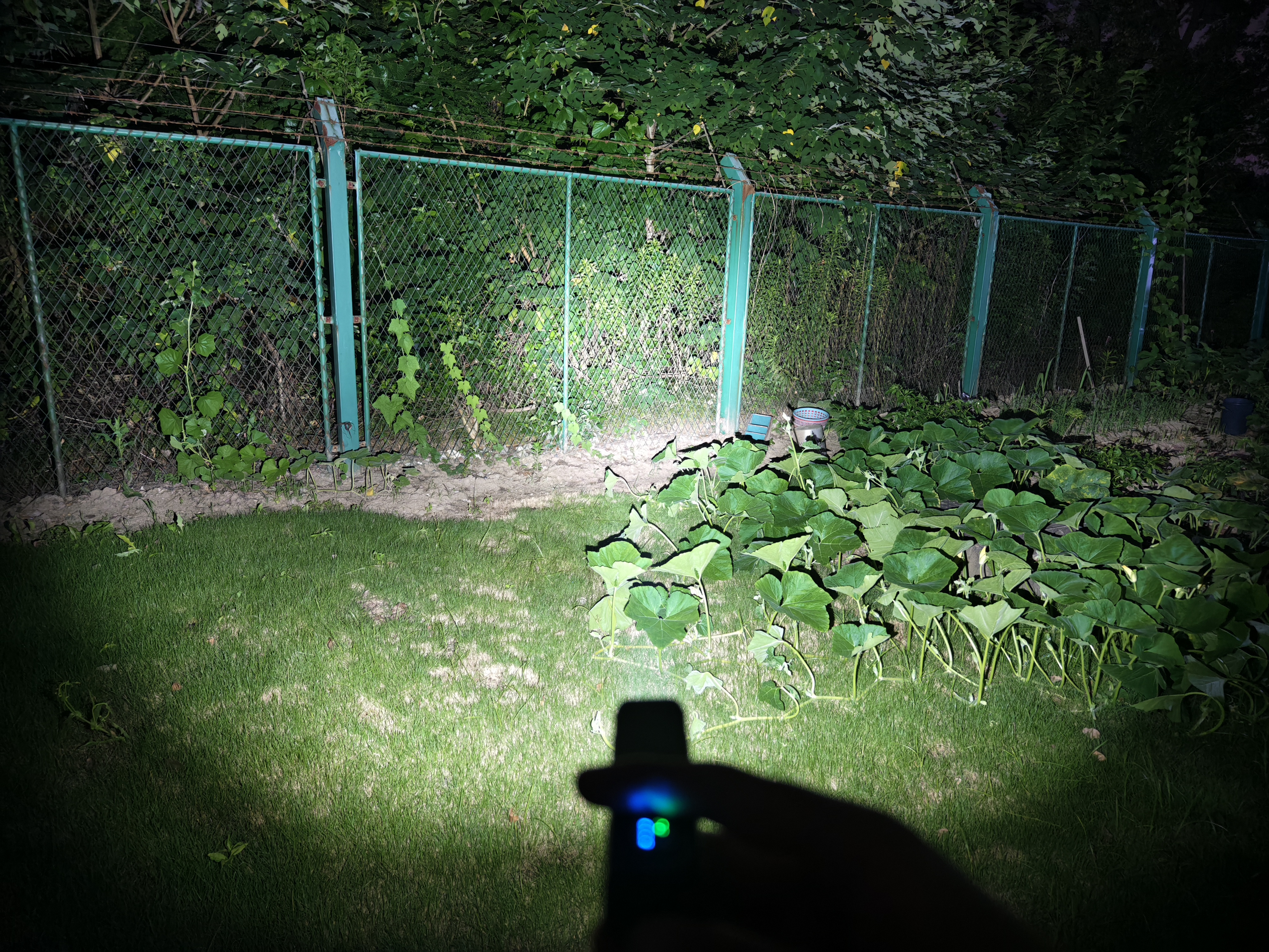 IMG_20240707_210225.jpg