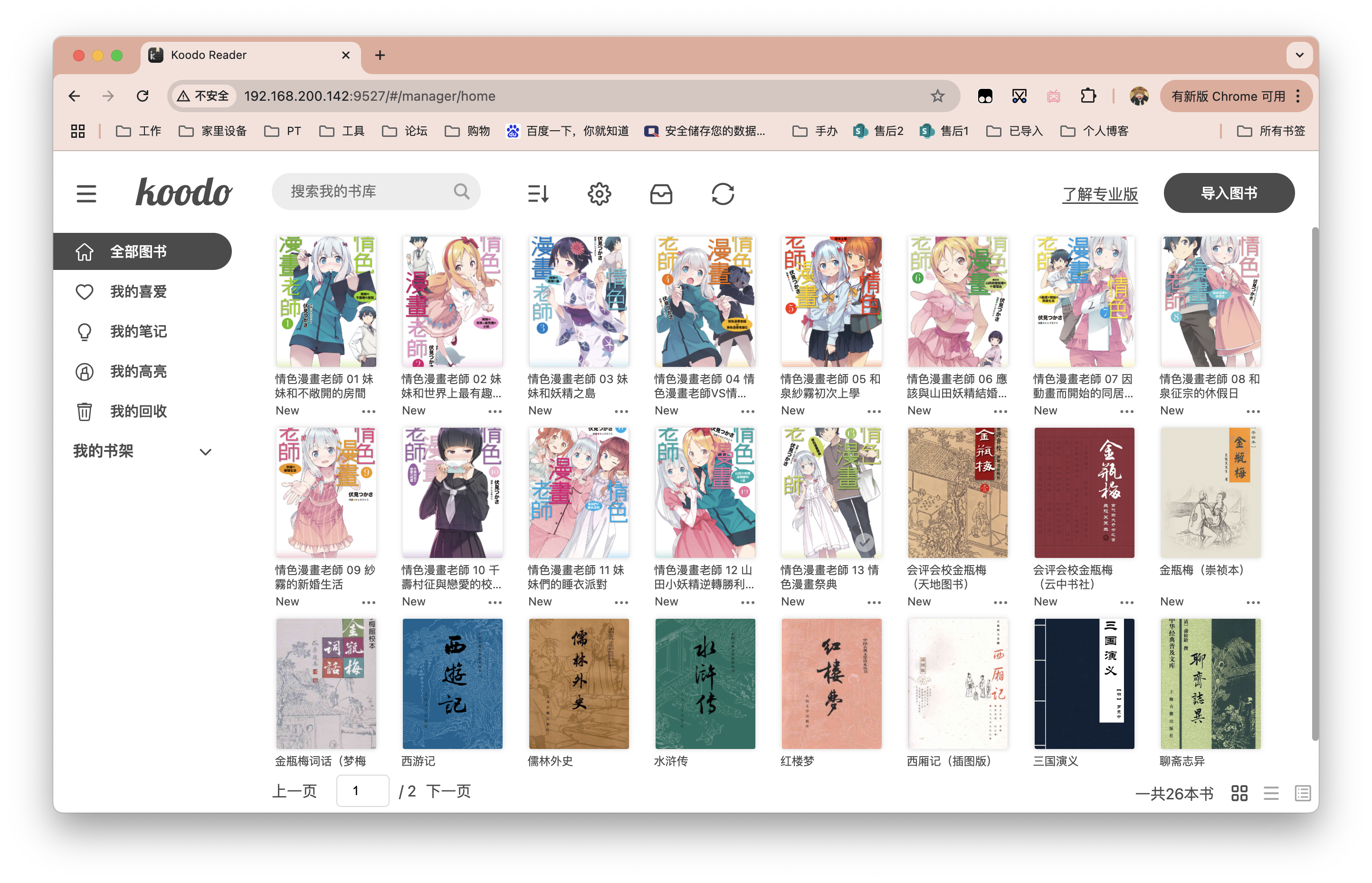 追求更高阅读体验？也许可以试试 Koodo Reader 
